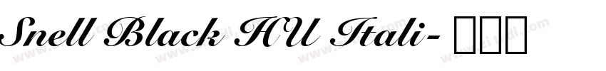 Snell Black HU Itali字体转换